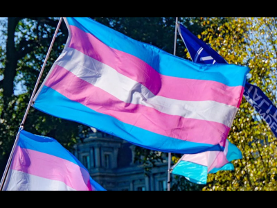 Transgender flag